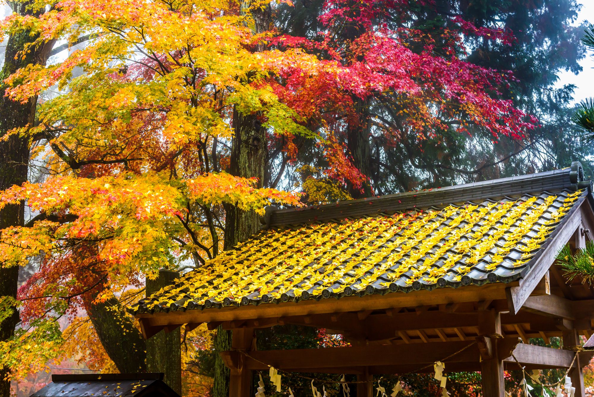 Nagoya’s Top 5 Most Popular Tourist Destinations
